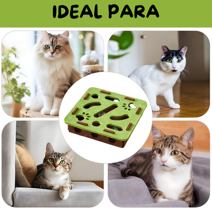 Rascador Interactivo para Gatos